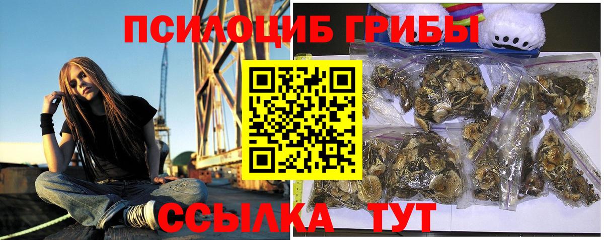 Галлюциногенные грибы Psilocybine cubensis  Вход с VPN  Фрязино 