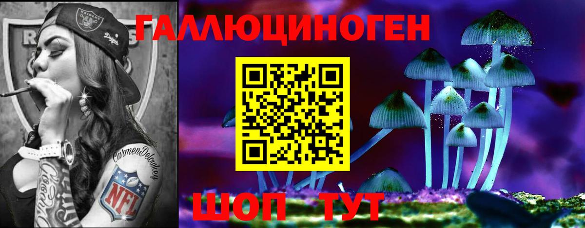 Галлюциногенные грибы прущие грибы Фрязино